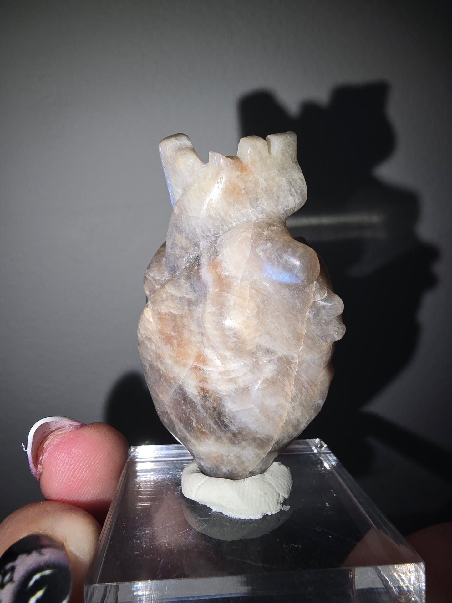 Anatomical Heart Sunstone Moonstone Carving