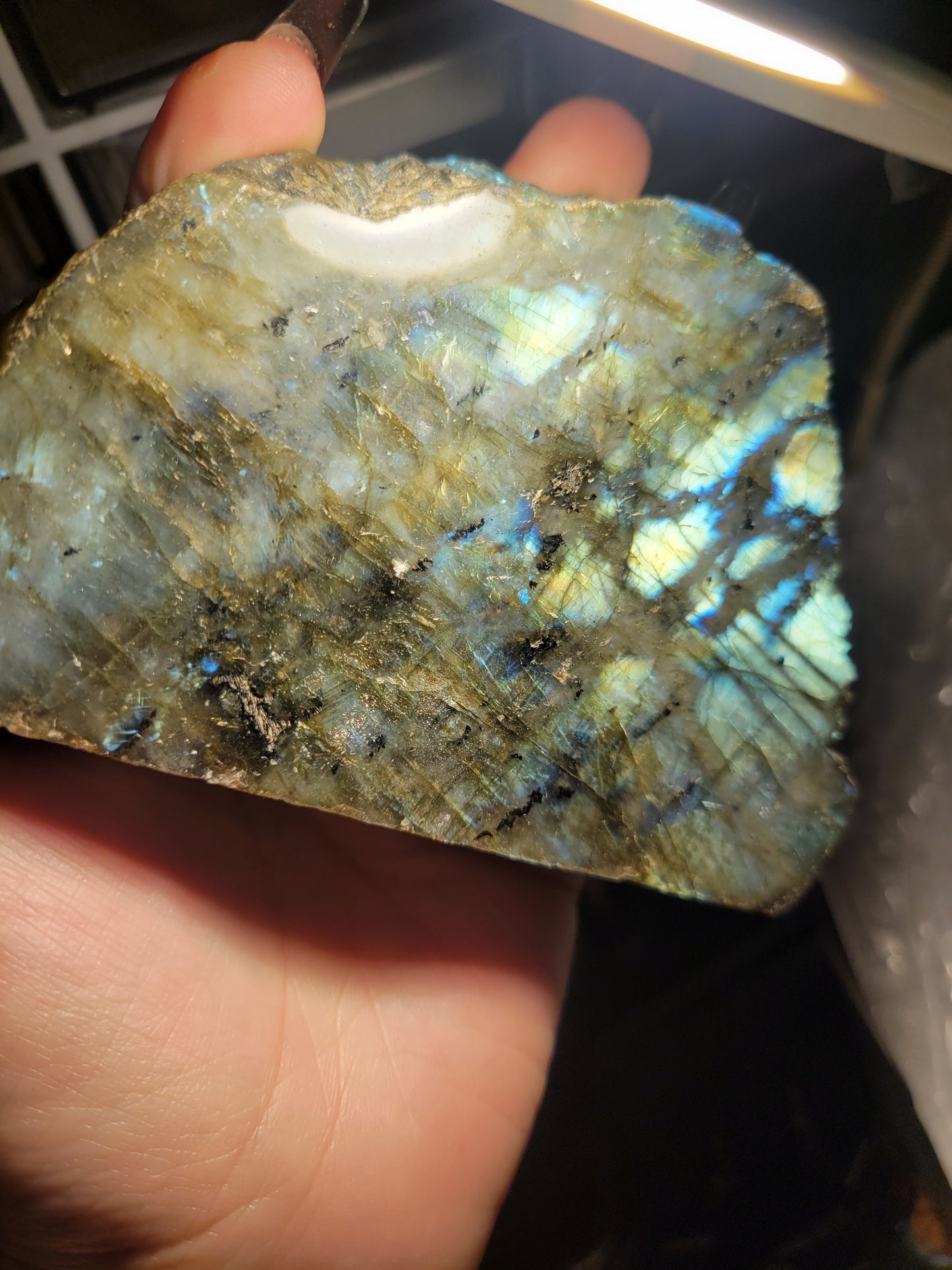 Labradorite Freeform | Protection, Intuition & Transformation Crystal
