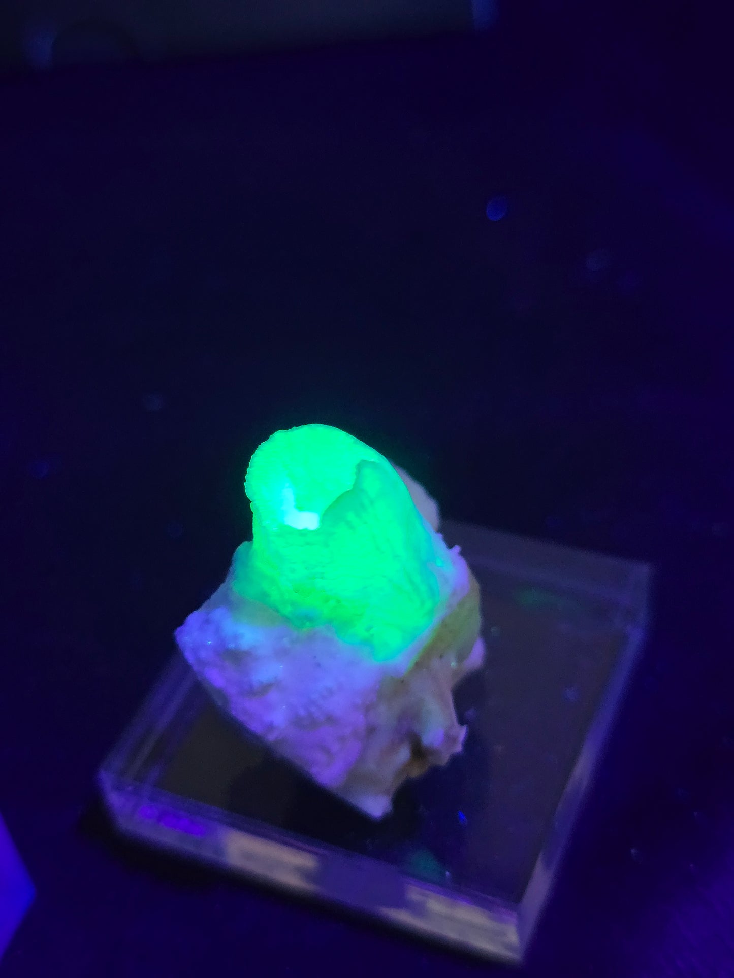 Fairy Cup Aragonite | UV Reactive White Aragonite Specimen