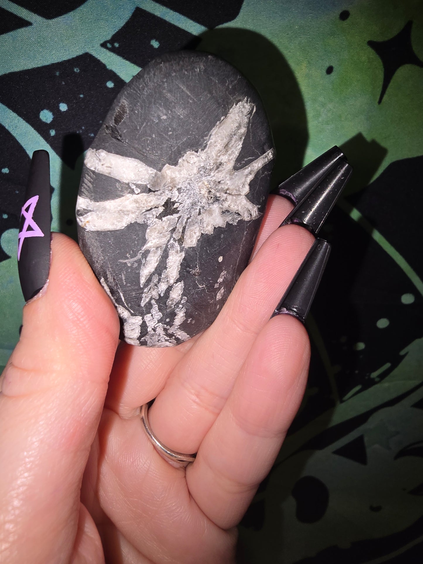 Chrysanthemum Stone