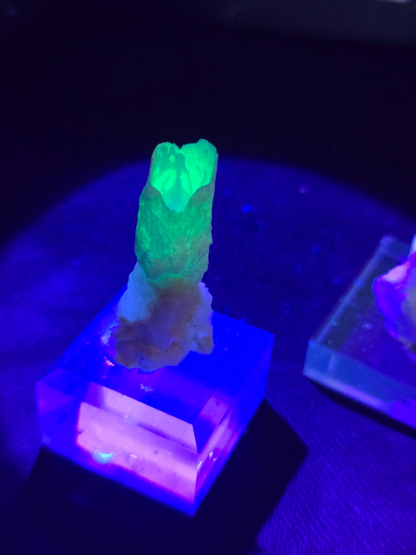 Fairy Cup Aragonite | UV Reactive White Aragonite Specimen
