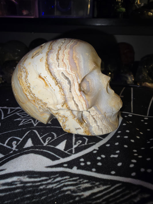 White Lace Skull