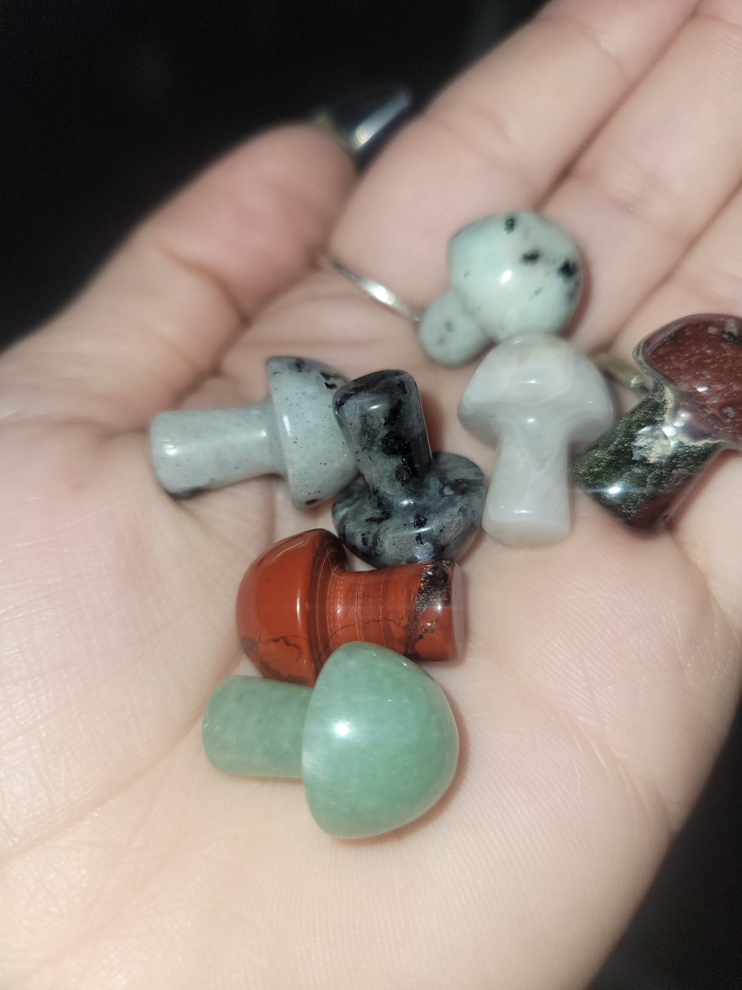 Intuitive picked Mushroom