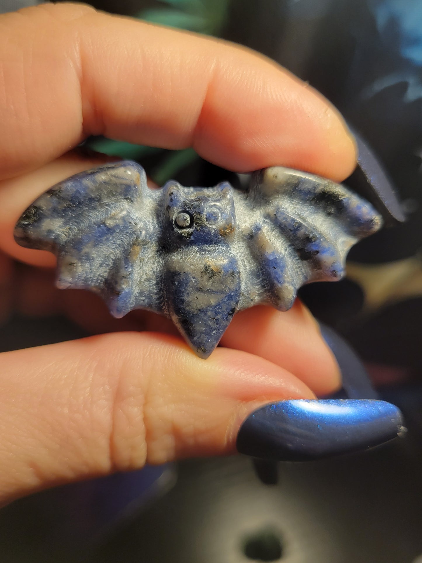 Sodalite Bat Carving Magnet