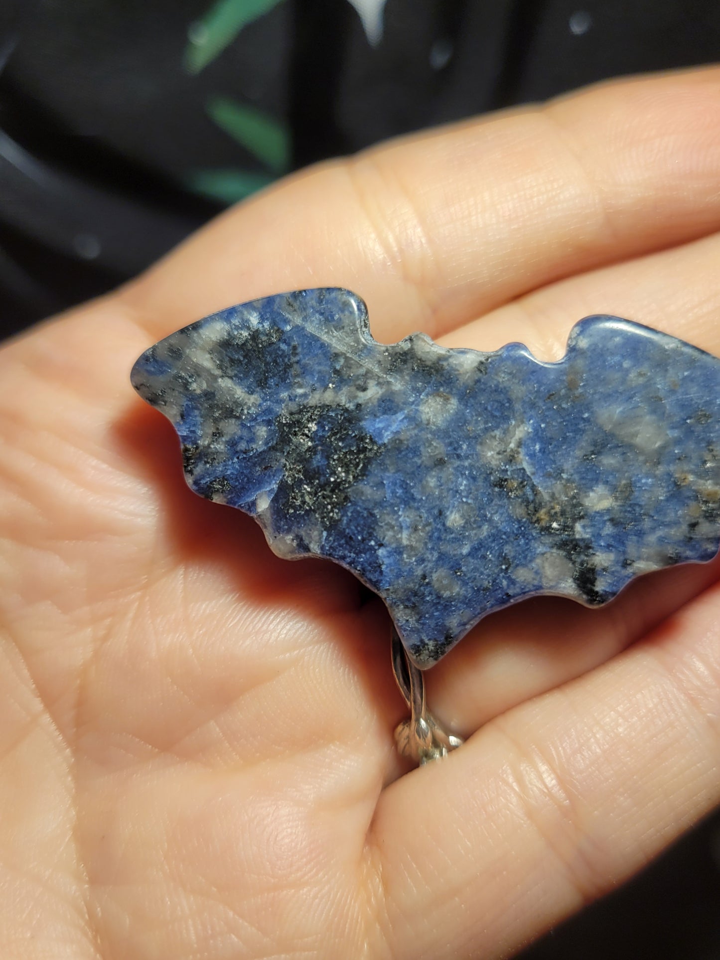 Sodalite Bat Carving Magnet