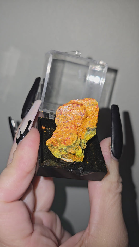 Realgar Specimen in Display Case | Rare Collector Mineral