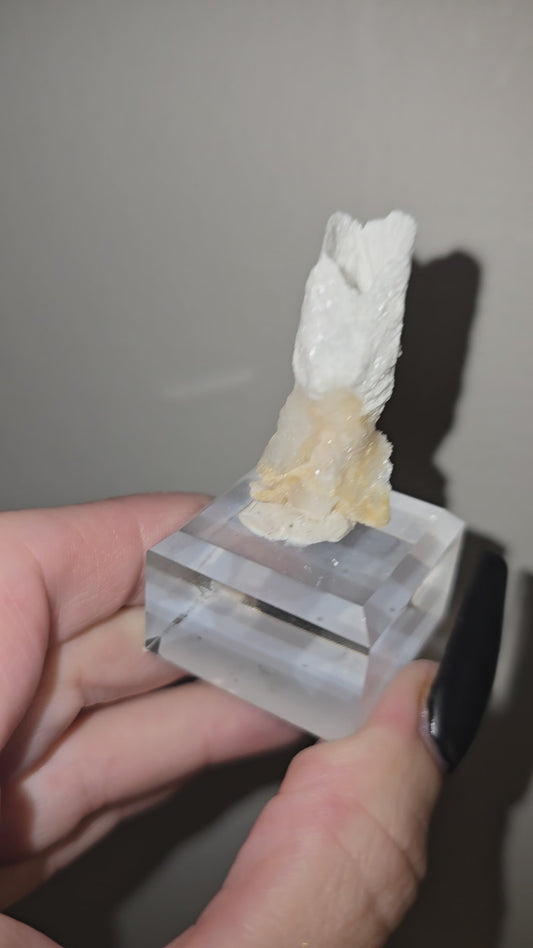 Fairy Cup Aragonite | UV Reactive White Aragonite Specimen