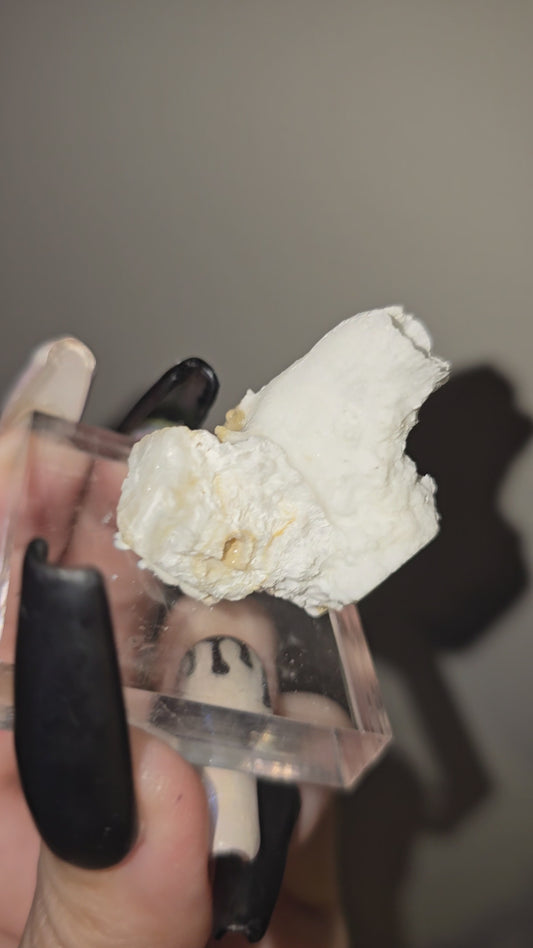 Fairy Cup Aragonite | UV Reactive White Aragonite Specimen