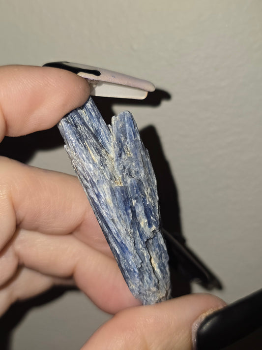 Raw Blue Kyanite | Communication, Alignment & Inner Truth