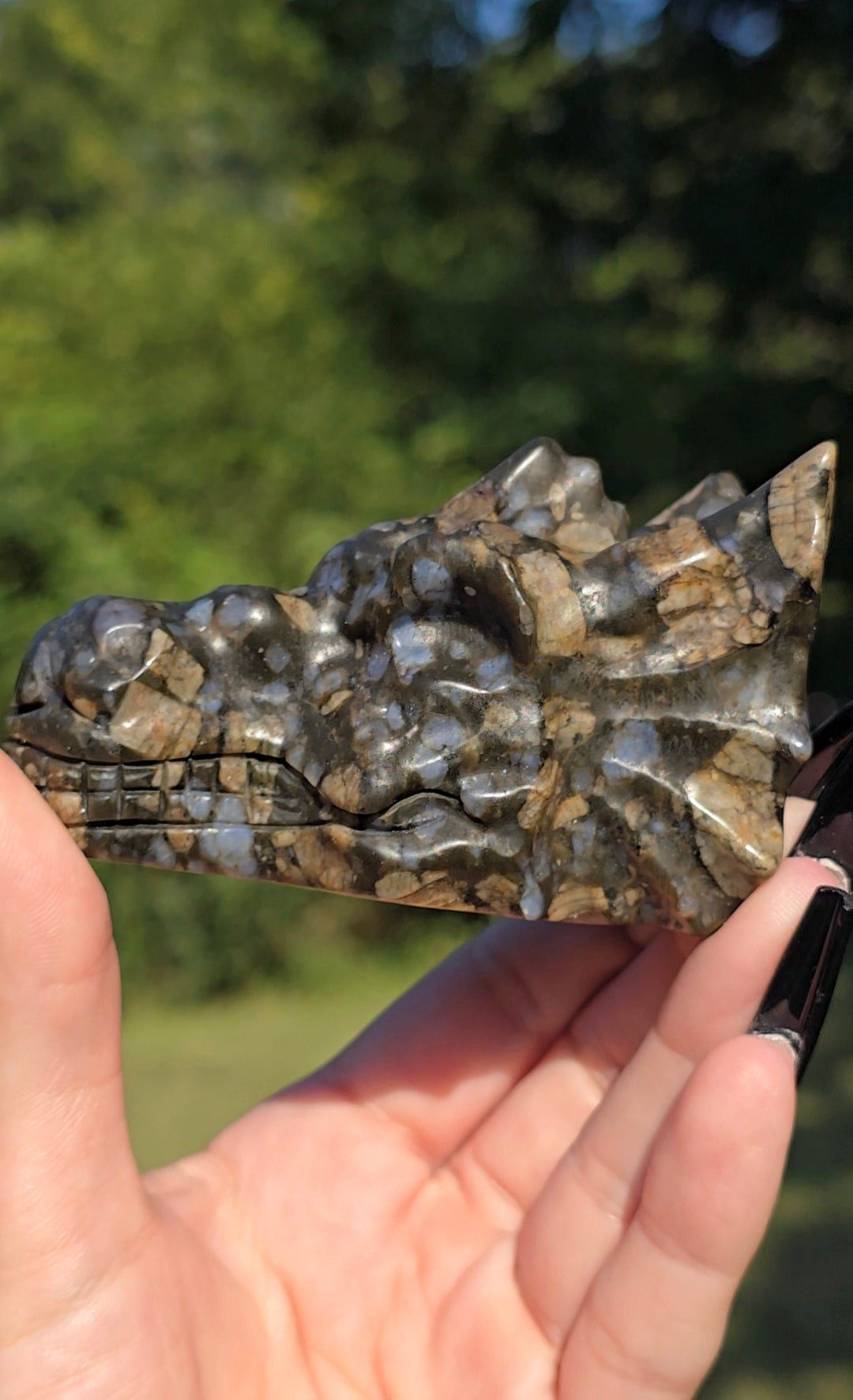 Que Sera Stone Dragon Head Carving | Strength & Transformation