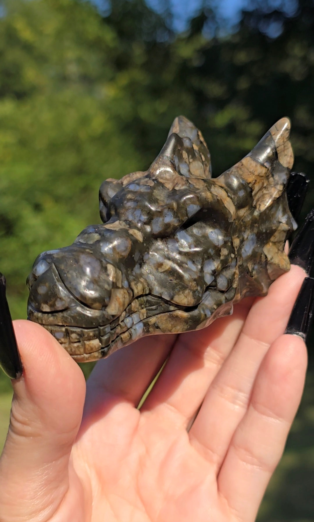 Que Sera Stone Dragon Head Carving | Strength & Transformation