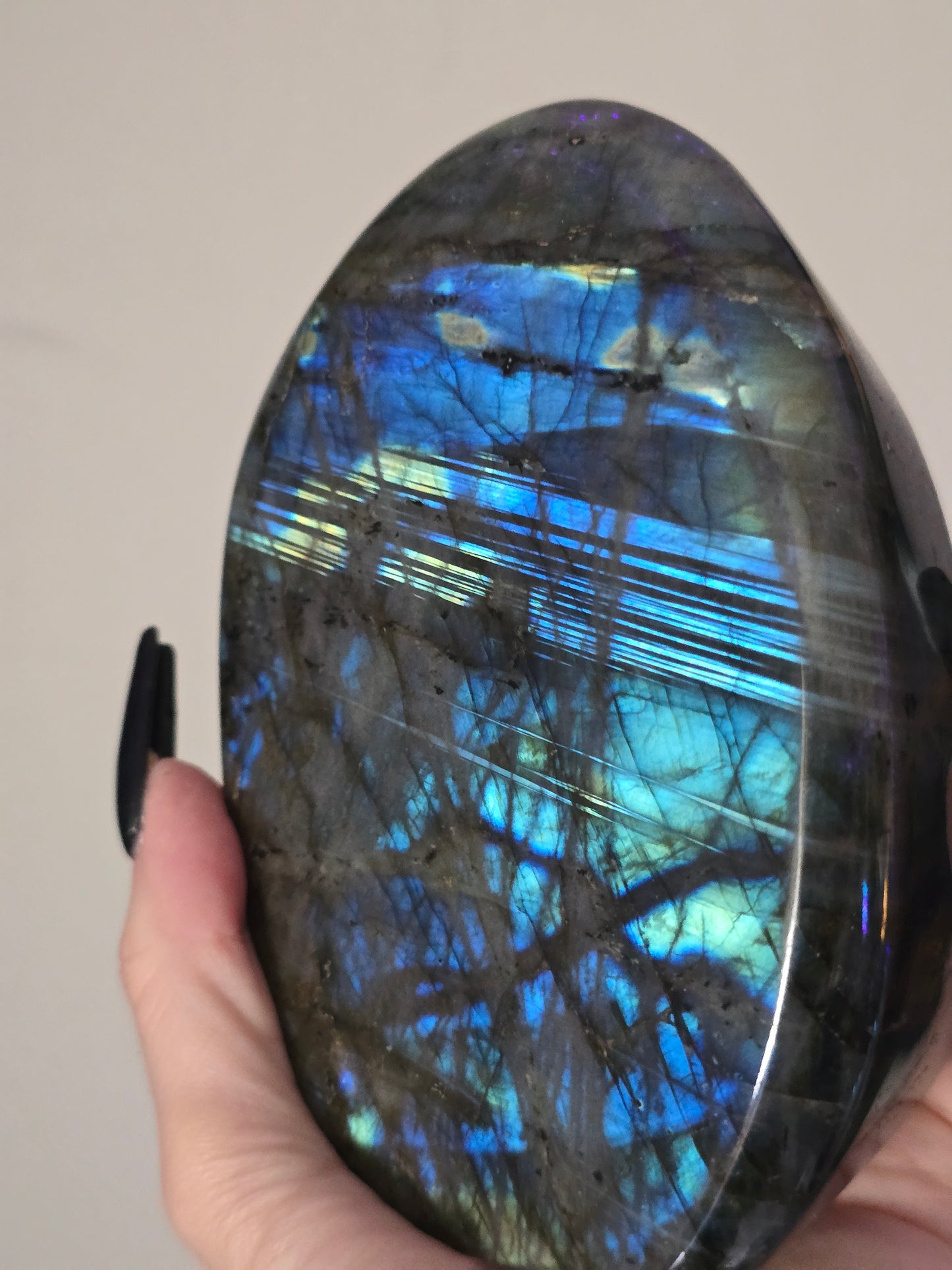 High Flash Labradorite Freeform | Electric Blue Flash & Transformation