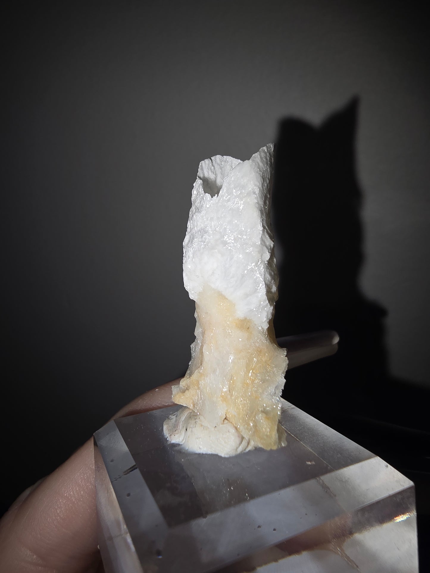 Fairy Cup Aragonite | UV Reactive White Aragonite Specimen