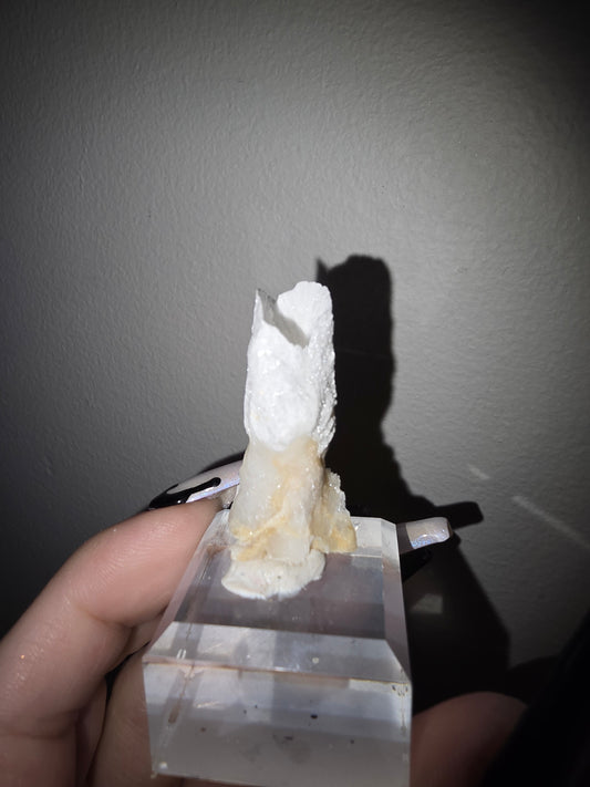 Fairy Cup Aragonite | UV Reactive White Aragonite Specimen
