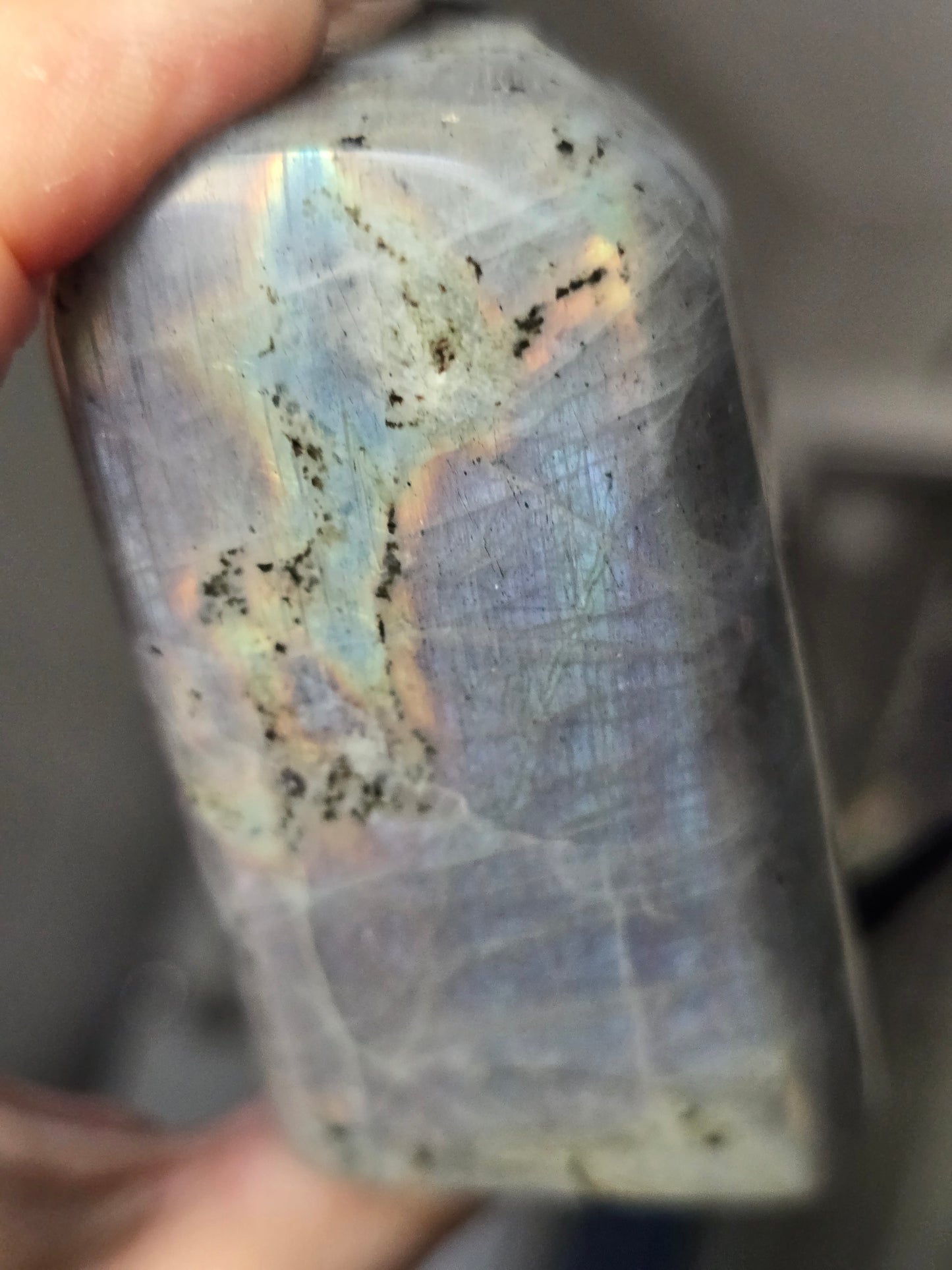 Labradorite Freeform | Intuition, Transformation & New Possibilities