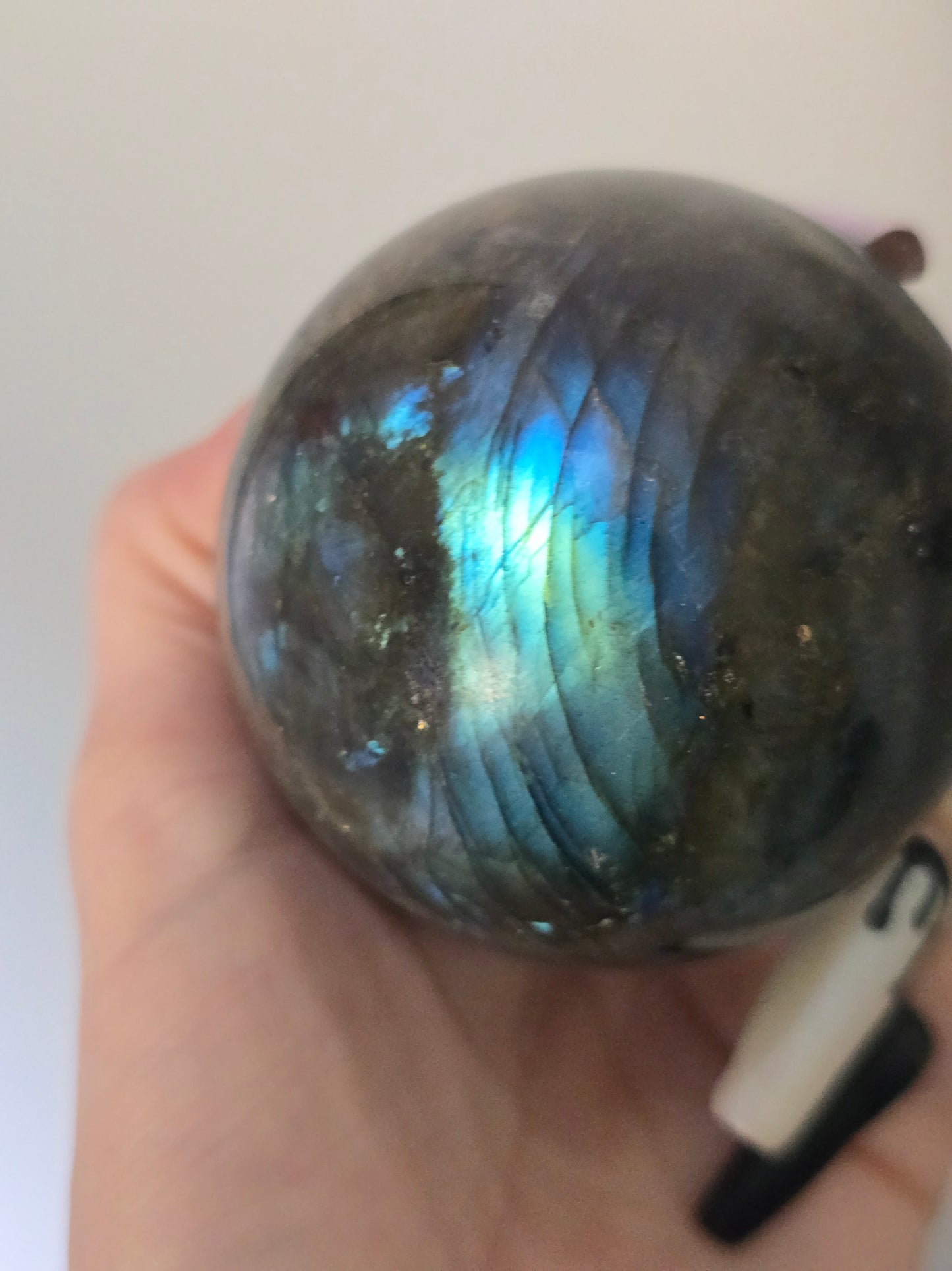 Blue & Green Flash Labradorite Sphere | Intuition, Possibility & Transformation