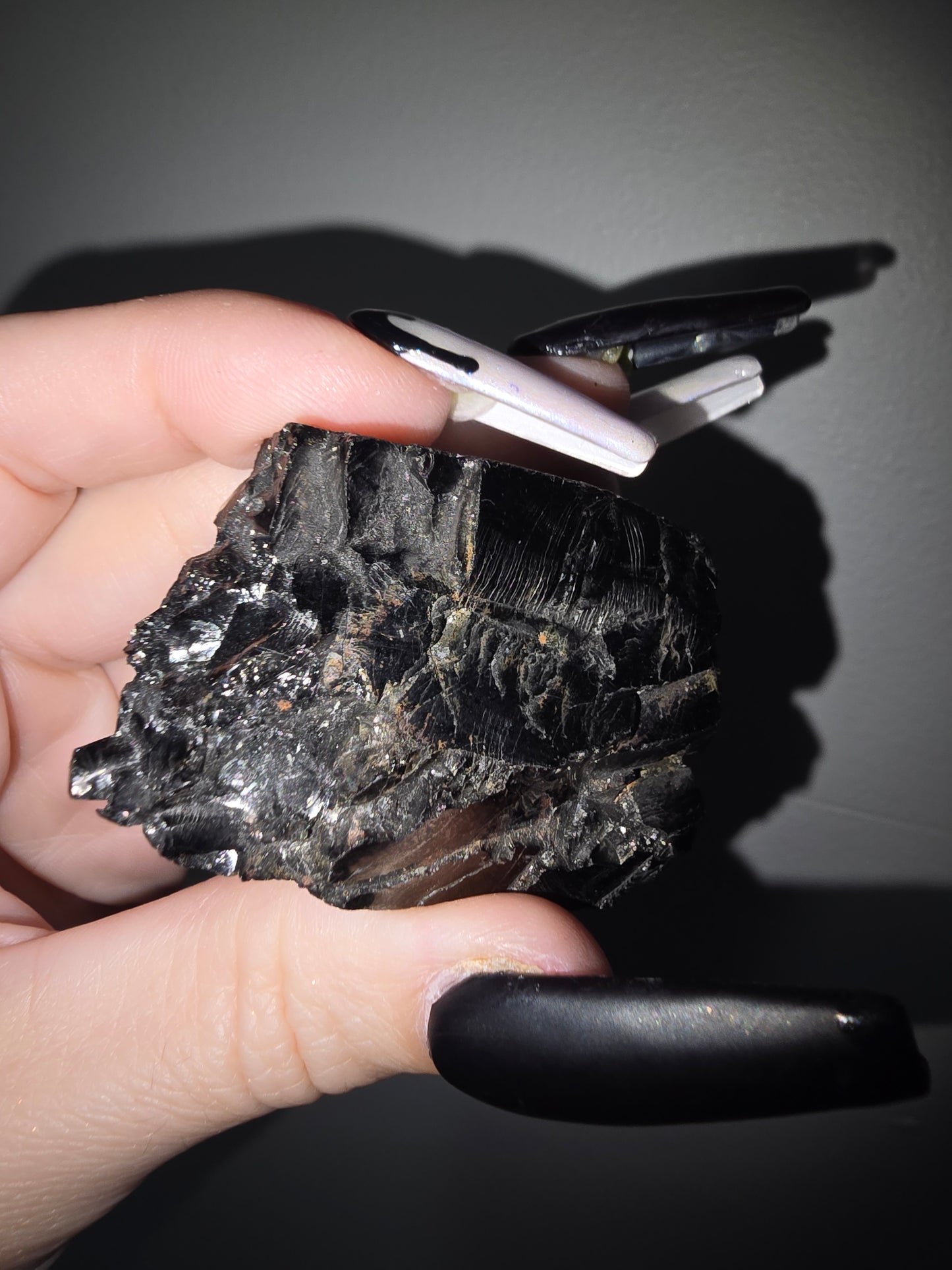 Elite Shungite | Grounding, Protection & Energetic Balance