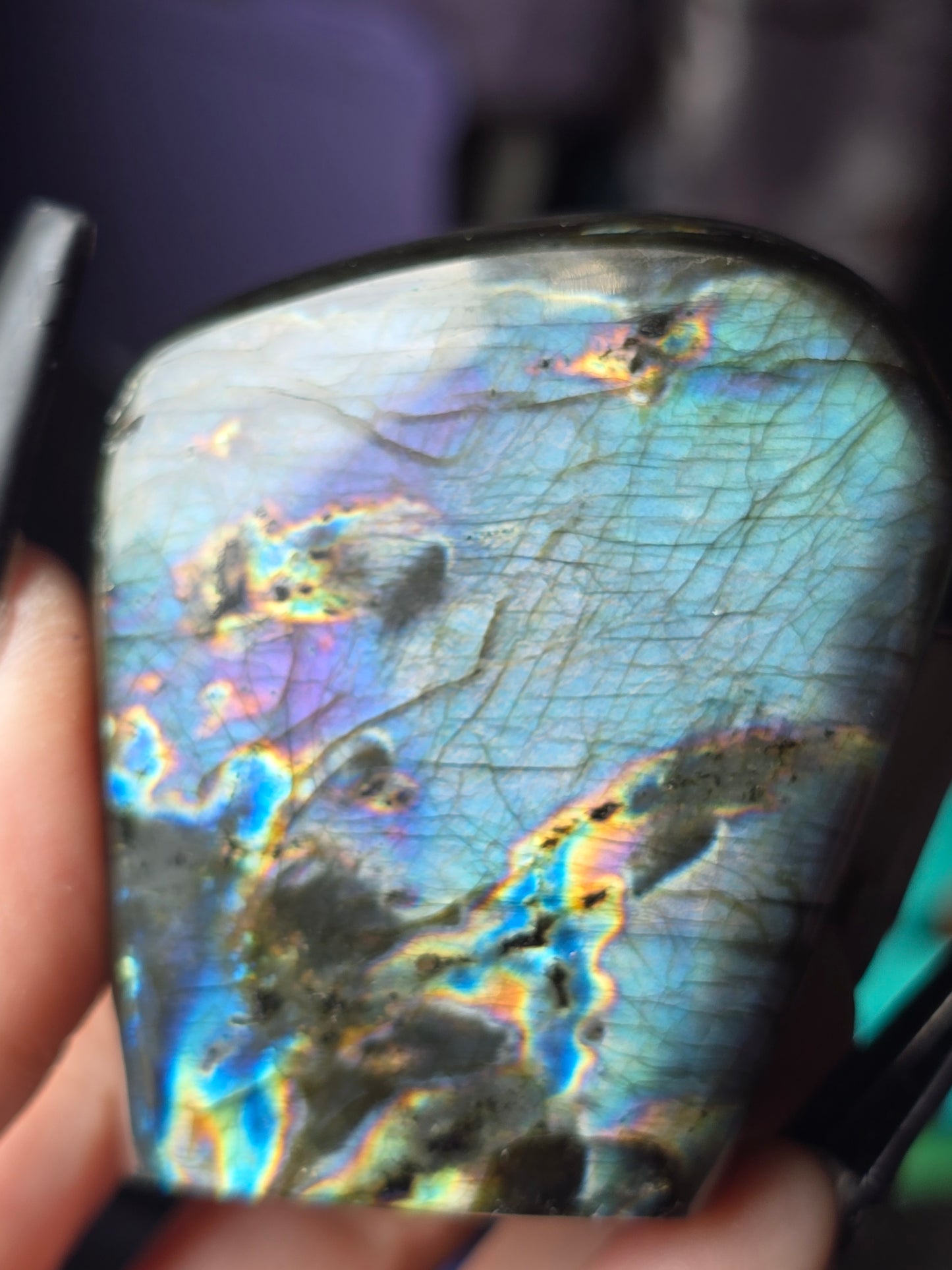 Lavender & Teal Flash Labradorite Freeform | Intuition, Magic & Transformation