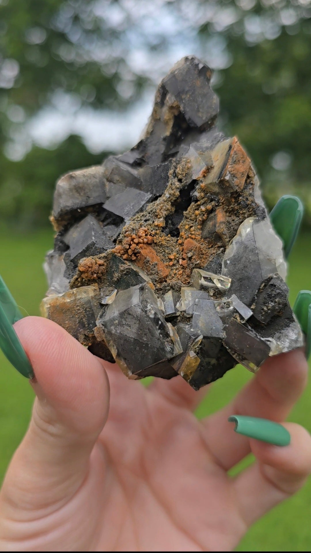 Dark Fluorite Specimen | Grounding & Clarity