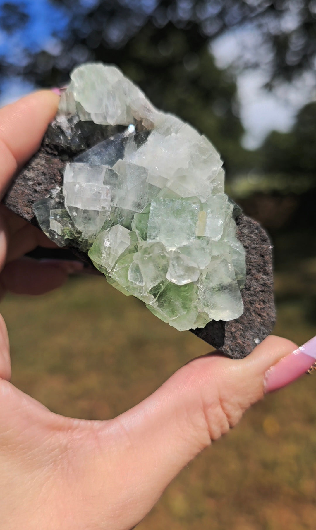 Green Apophyllite Freeform | Growth & Spiritual Connection
