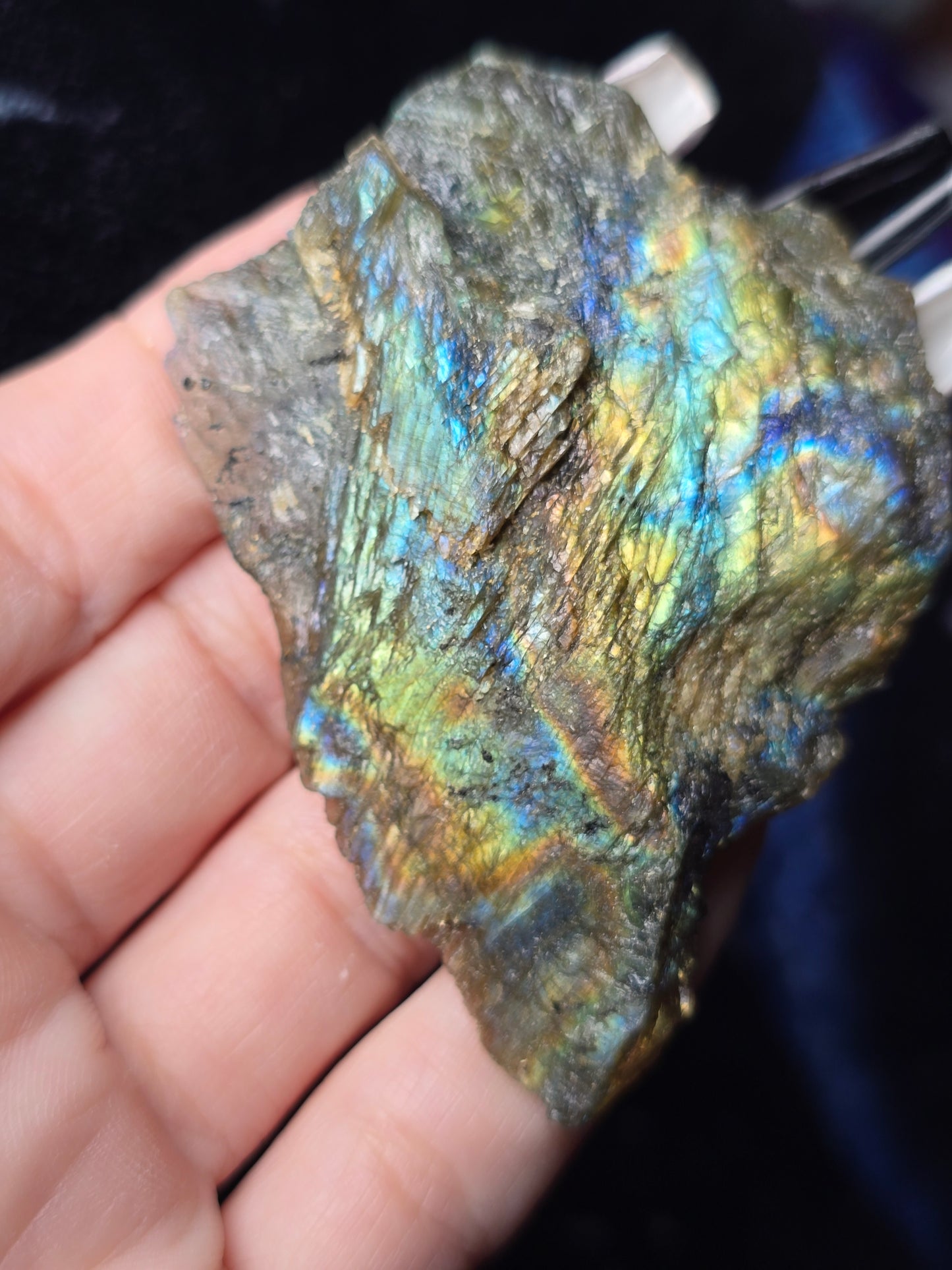 High Flash Labradorite Display Piece | Intuition, Transformation & Hidden Potential