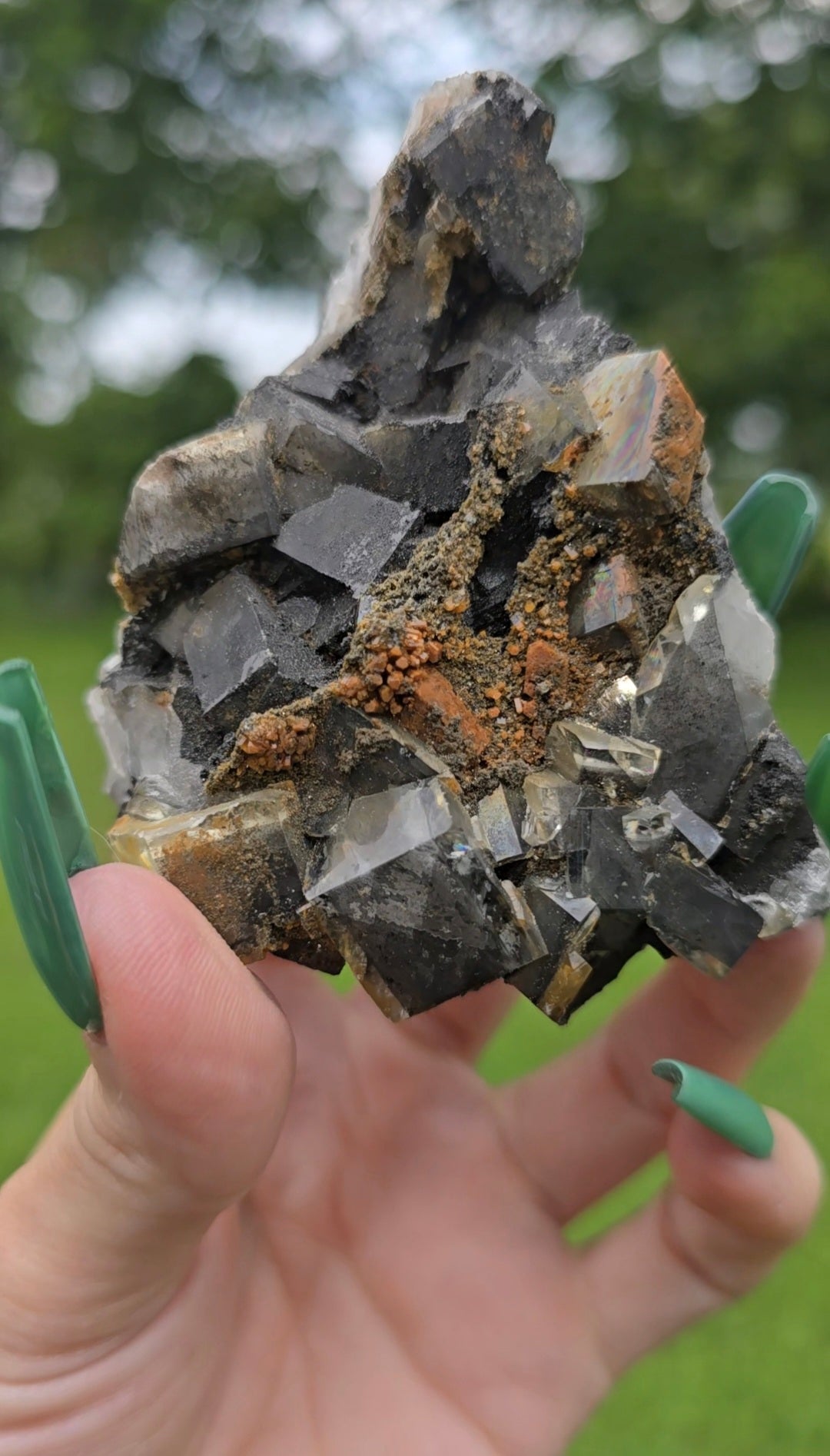 Dark Fluorite Specimen | Grounding & Clarity