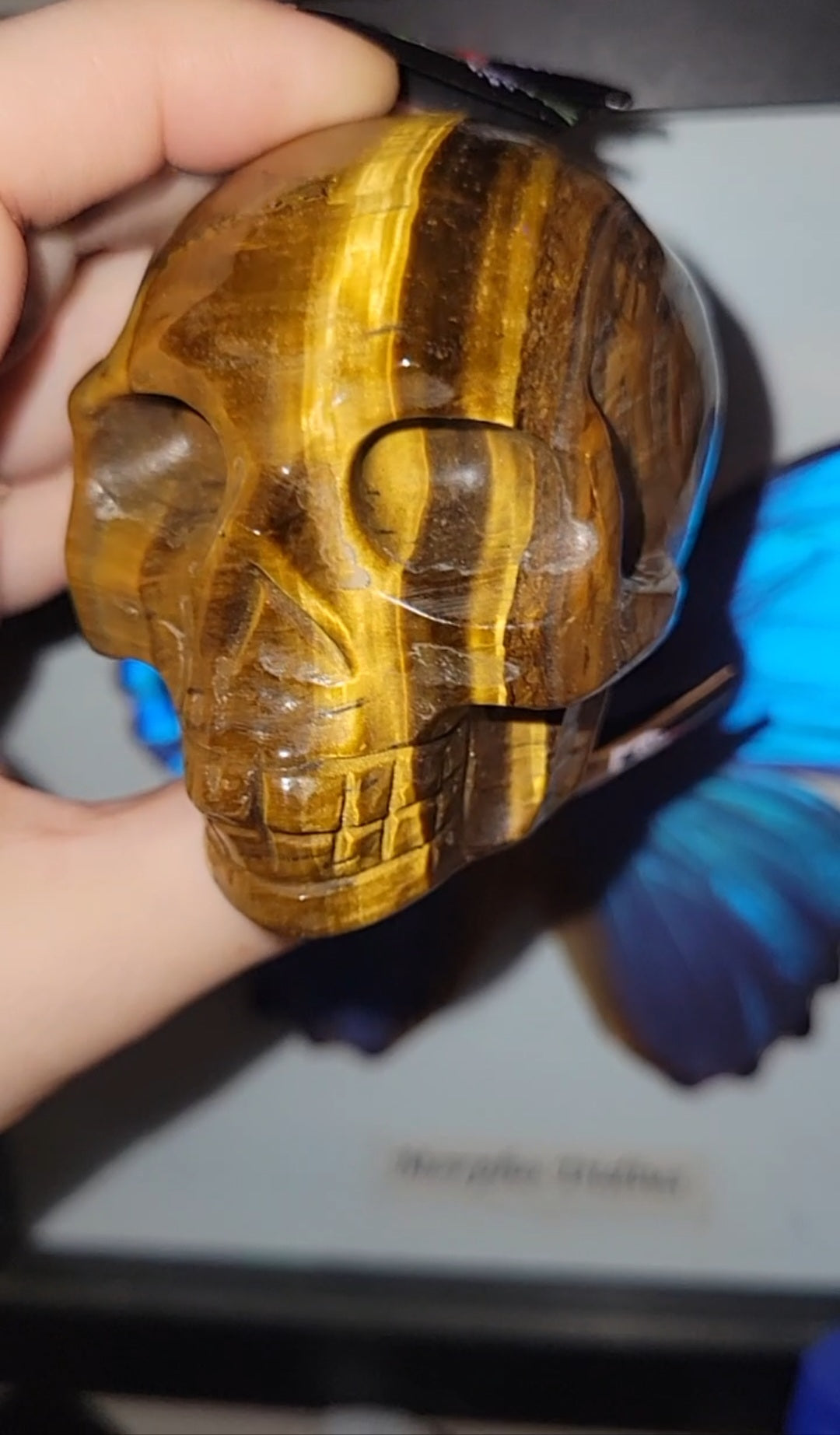 Tiger Eye Skull