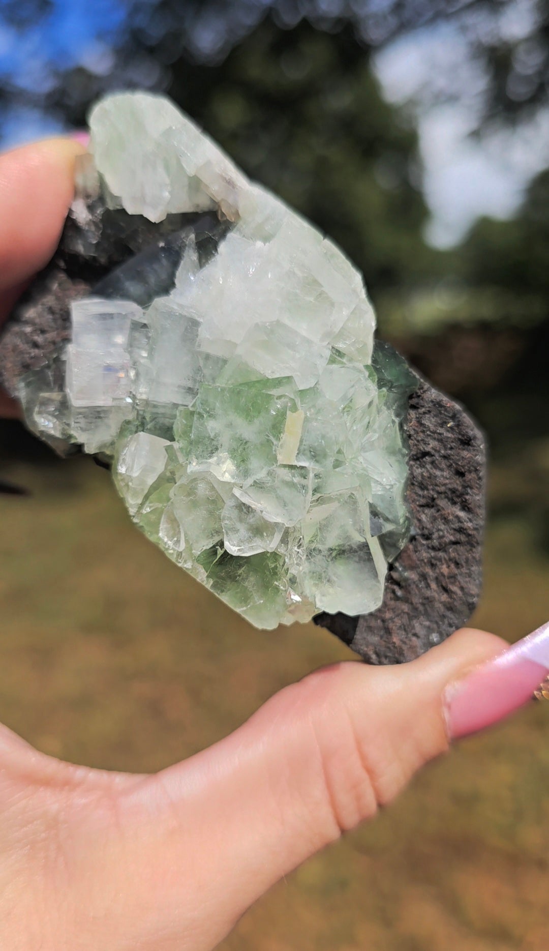 Green Apophyllite Freeform | Growth & Spiritual Connection