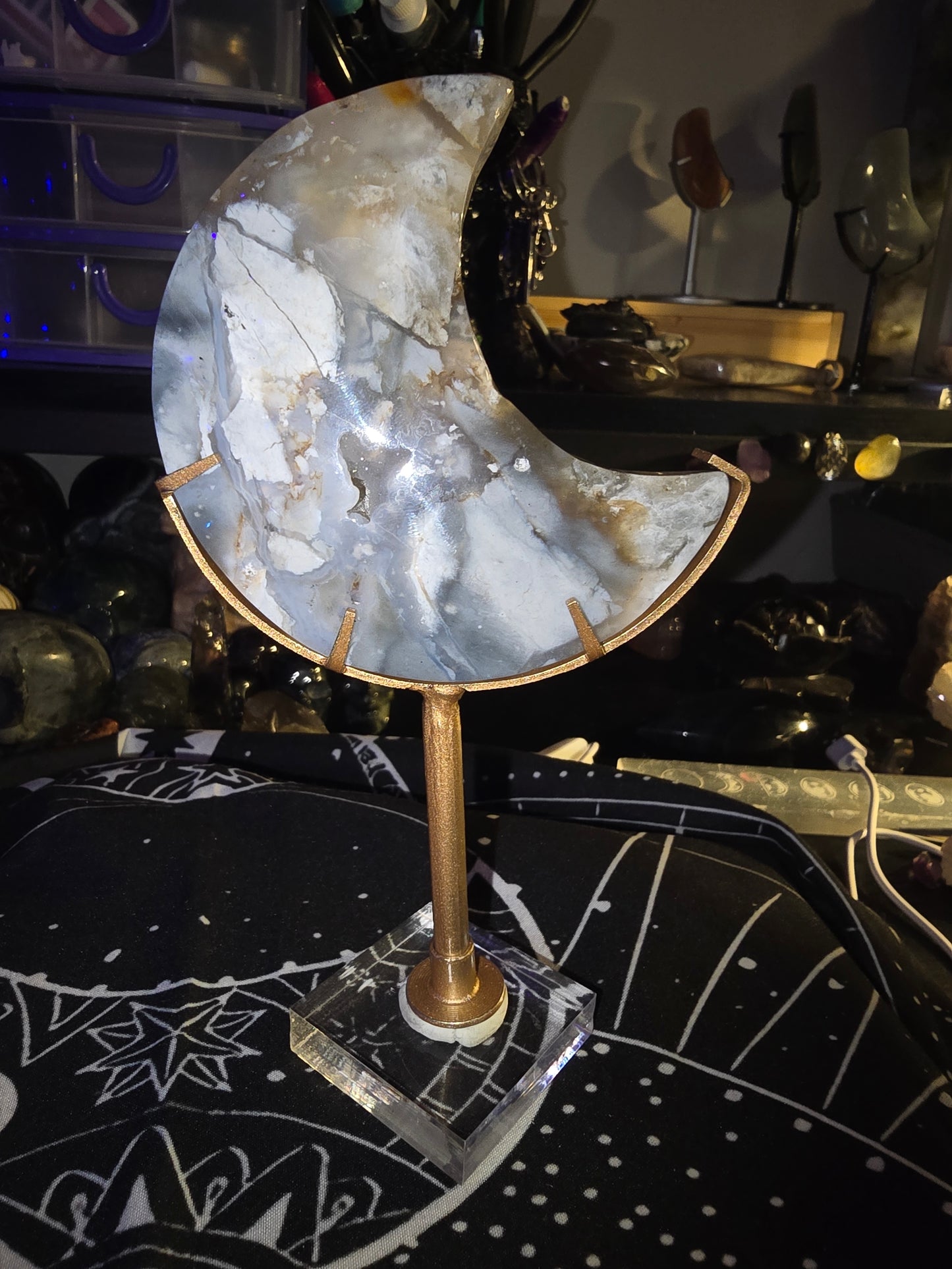 Petrified Wood Moon on Stand