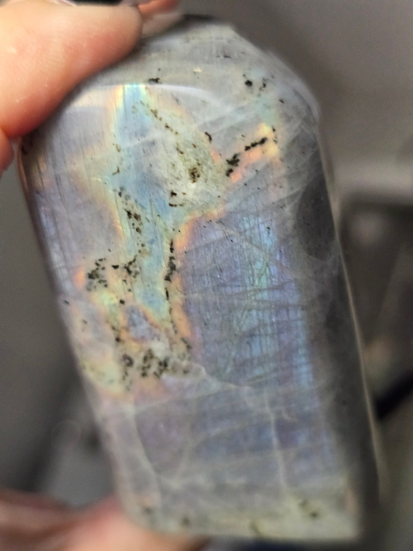 Labradorite Freeform | Intuition, Transformation & New Possibilities