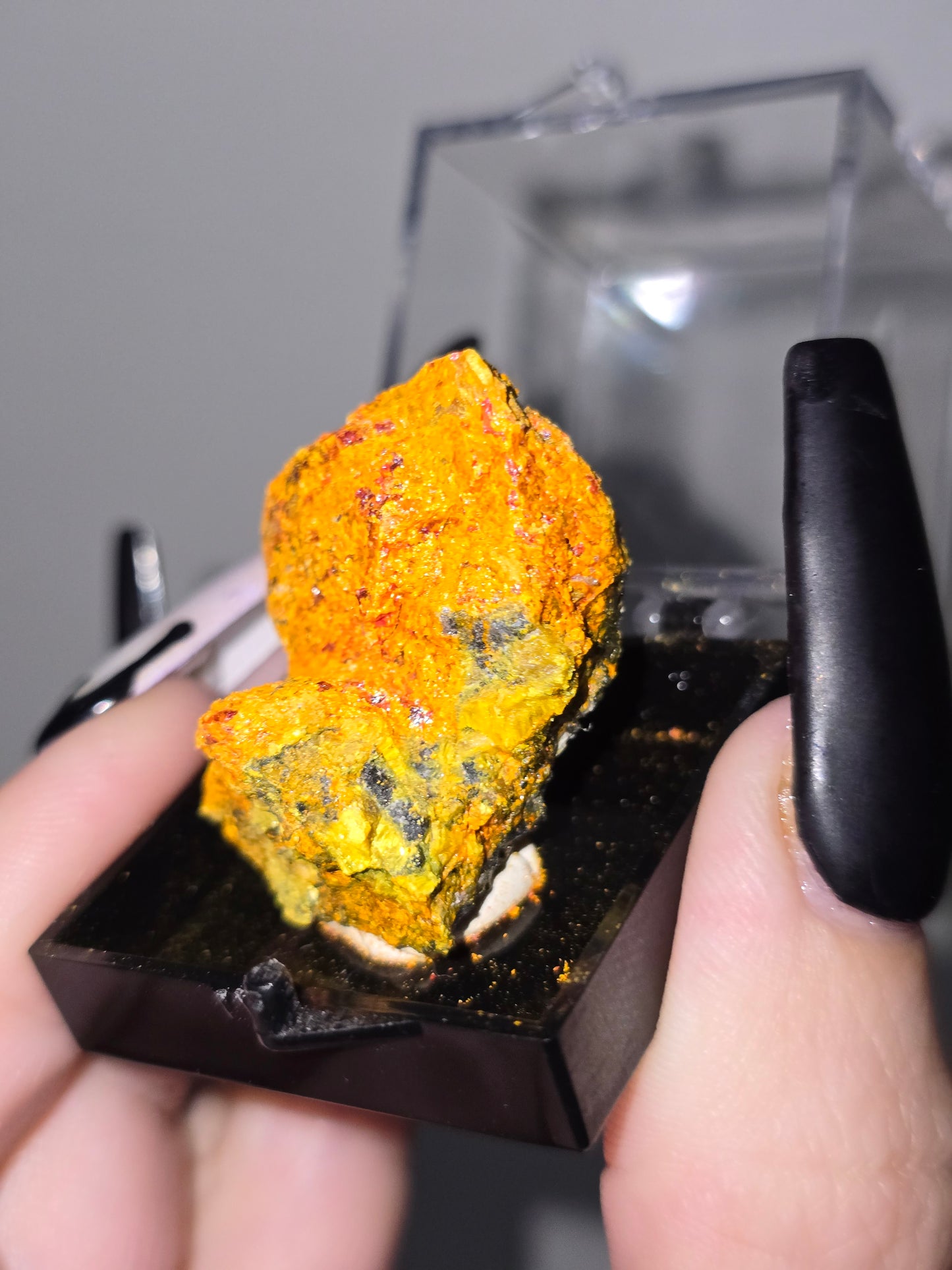 Realgar Specimen in Display Case | Rare Collector Mineral