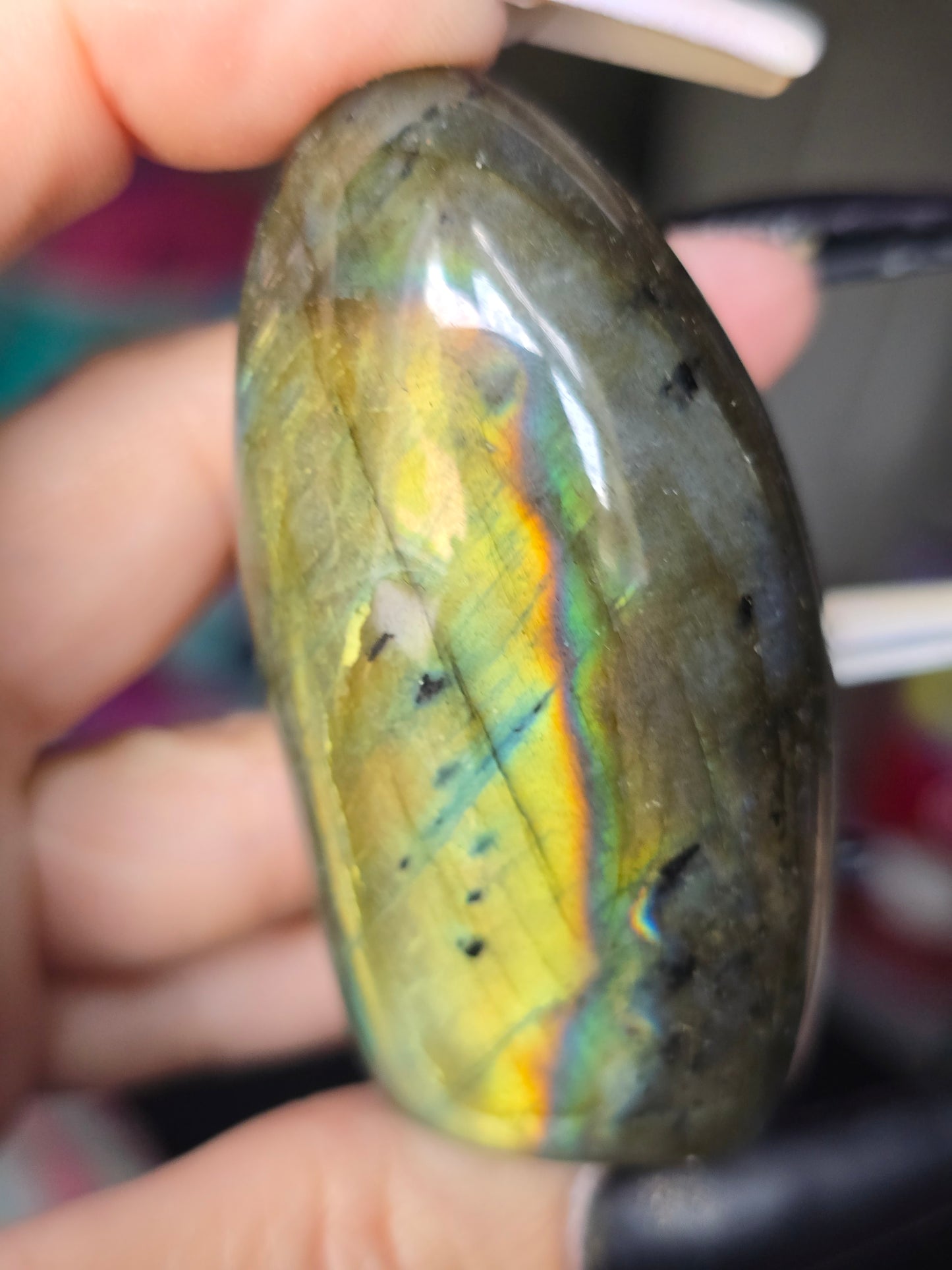 Multi-Flash Labradorite Freeform | Intuition, Transformation & Hidden Magic