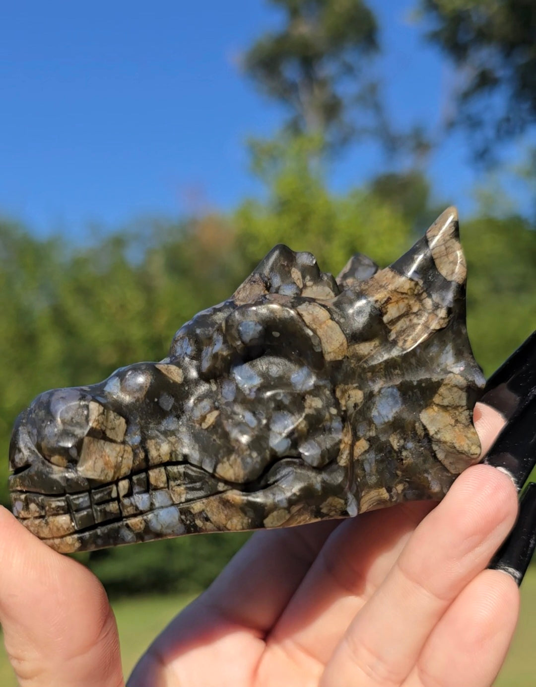 Que Sera Stone Dragon Head Carving | Strength & Transformation