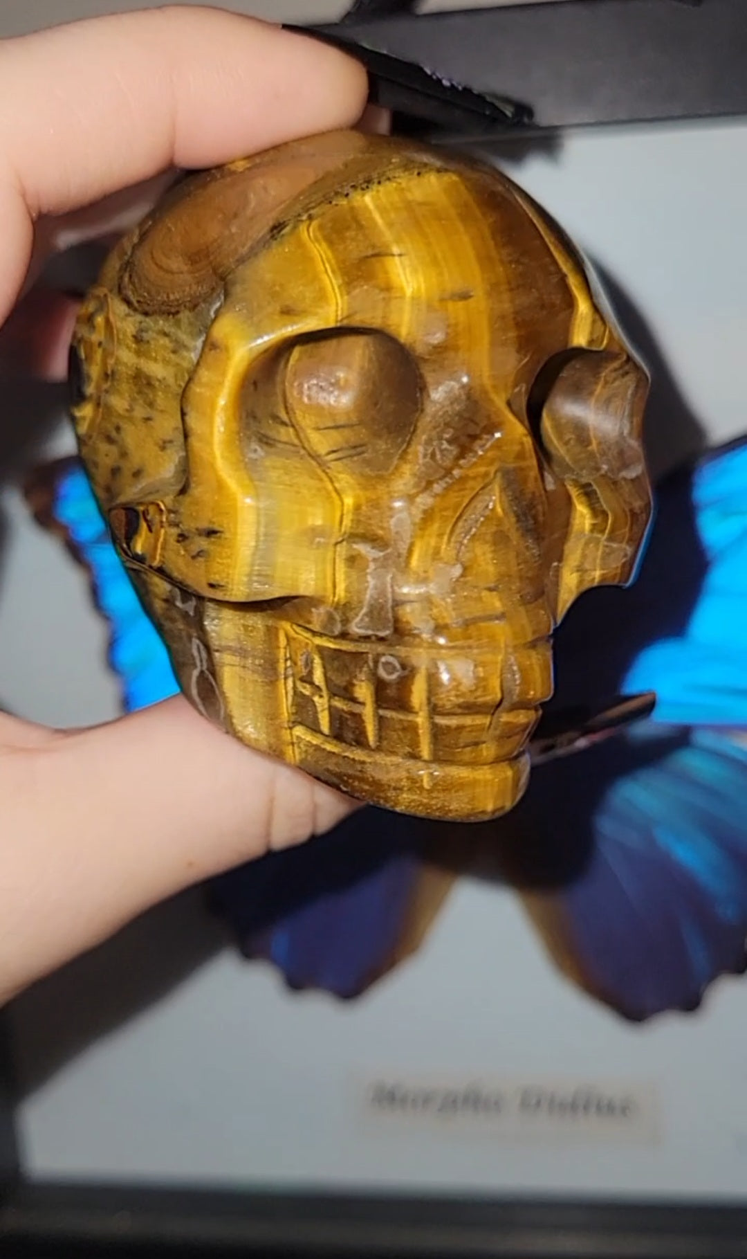 Tiger Eye Skull