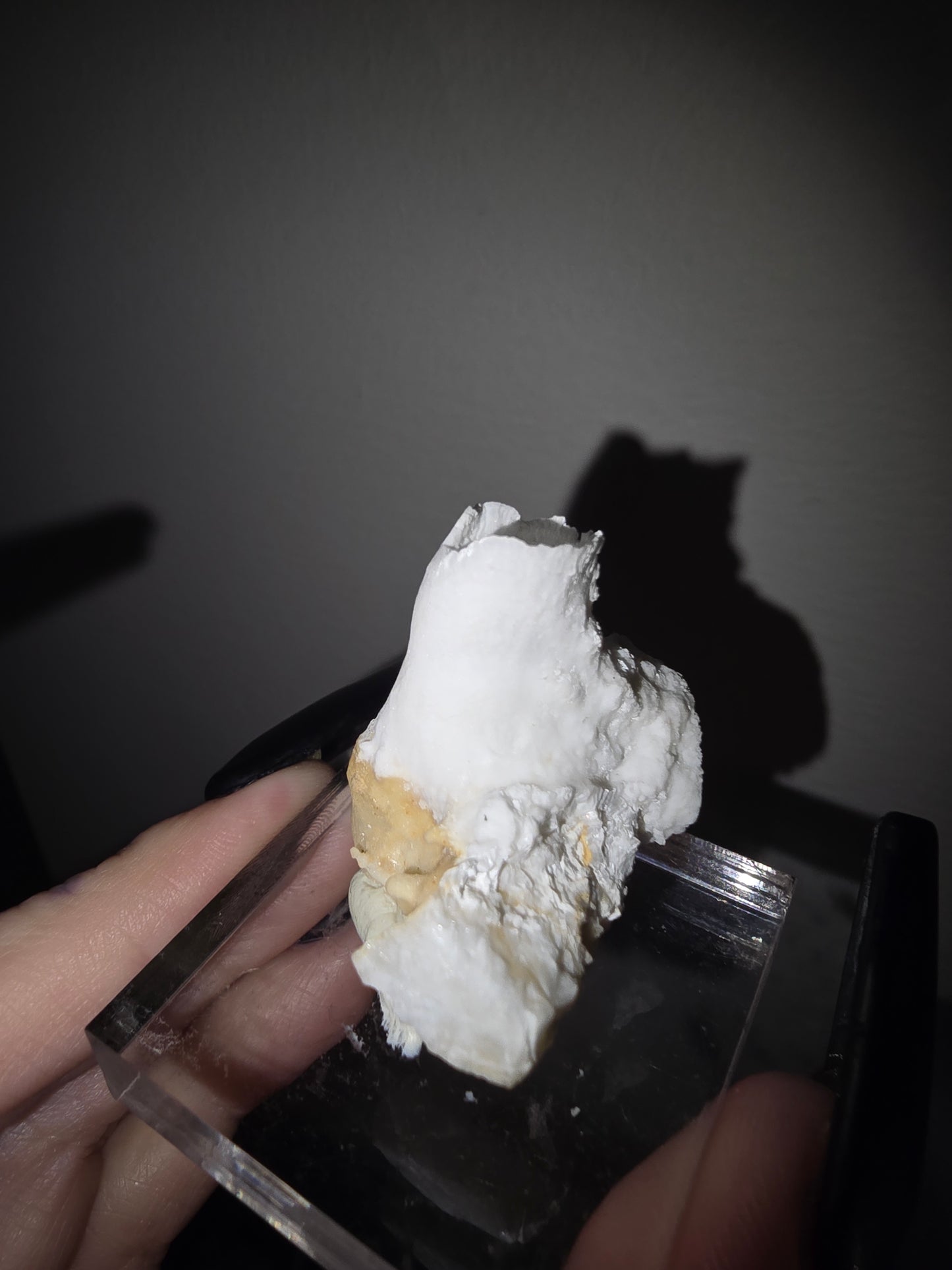 Fairy Cup Aragonite | UV Reactive White Aragonite Specimen