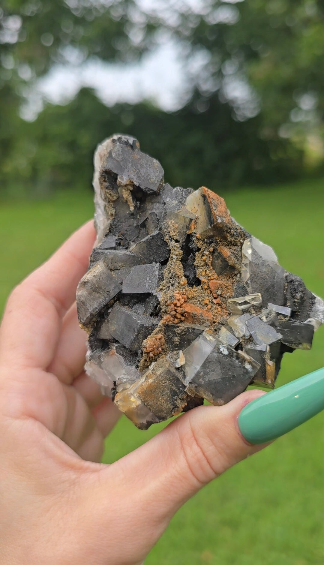 Dark Fluorite Specimen | Grounding & Clarity