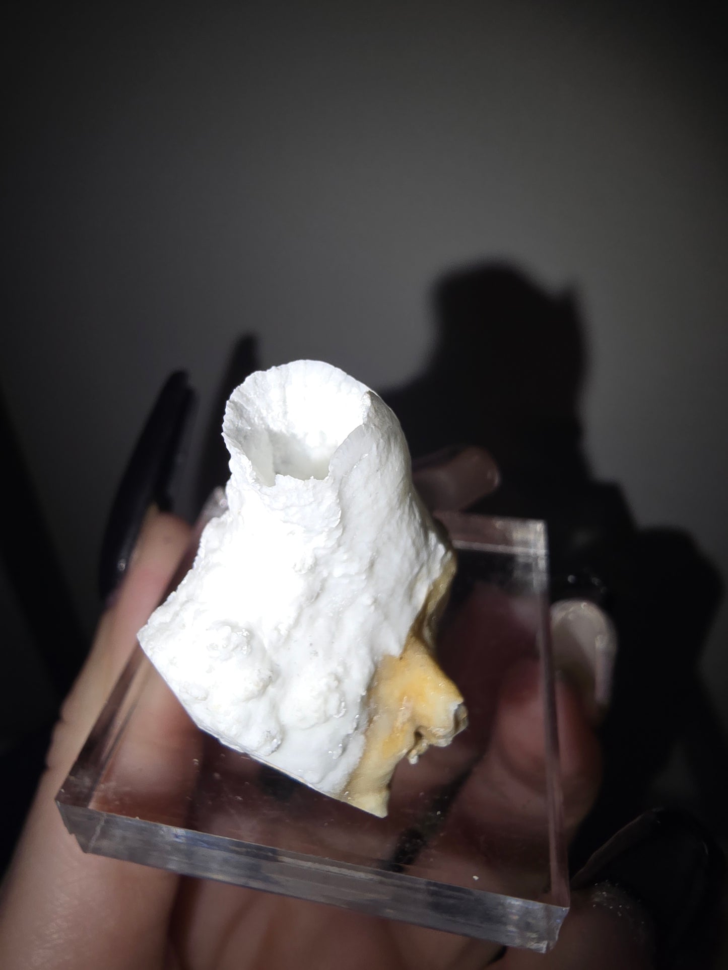 Fairy Cup Aragonite | UV Reactive White Aragonite Specimen