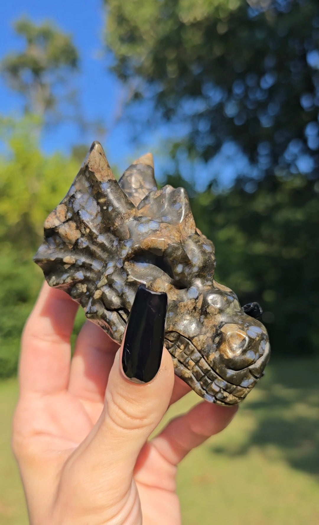 Que Sera Stone Dragon Head Carving | Strength & Transformation