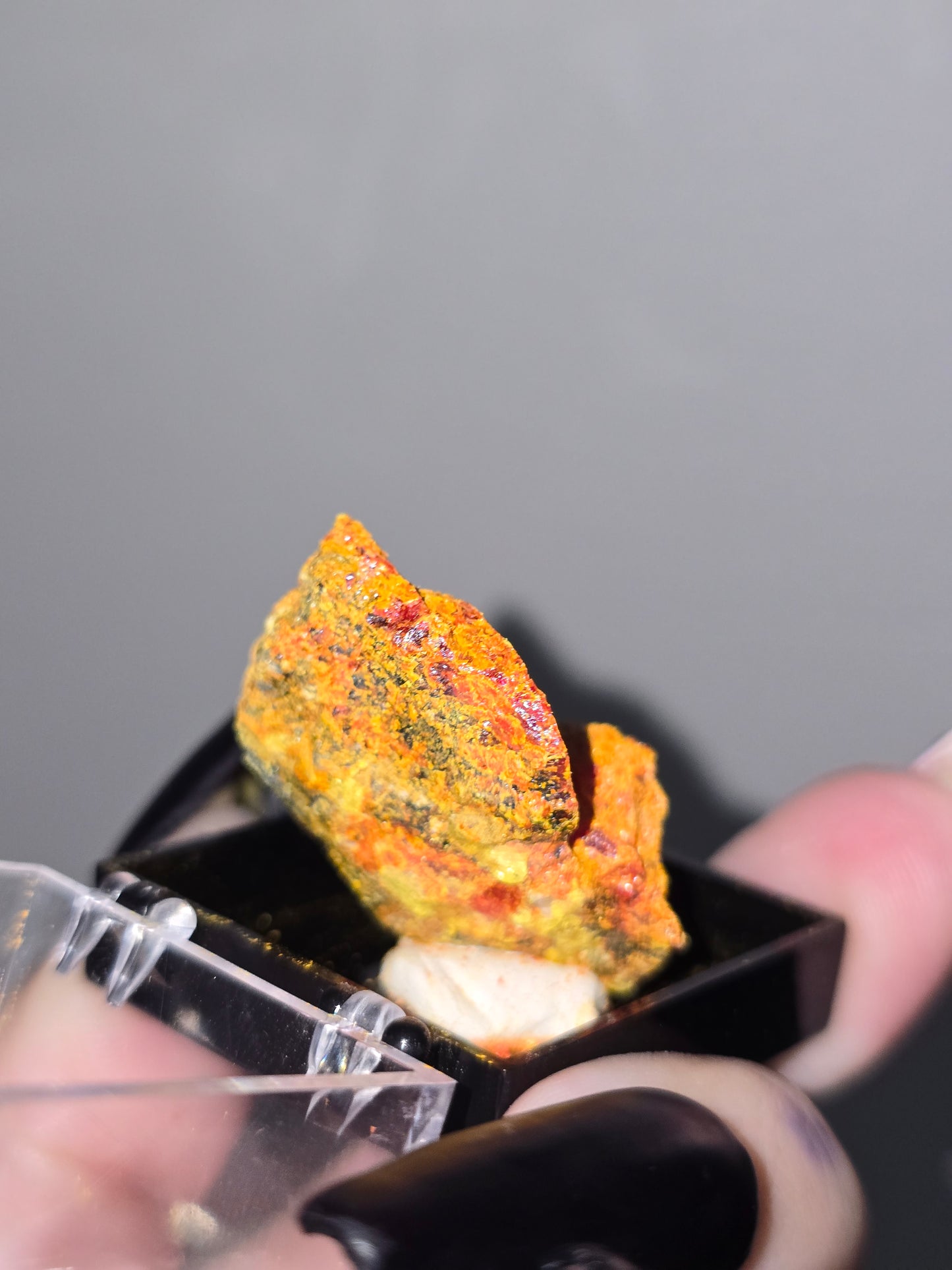 Realgar Specimen in Display Case | Rare Collector Mineral