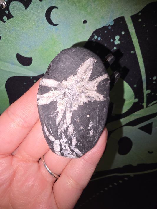 Chrysanthemum Stone