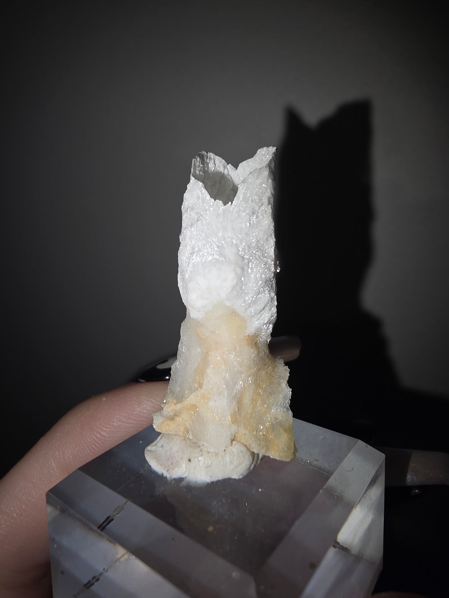Fairy Cup Aragonite | UV Reactive White Aragonite Specimen