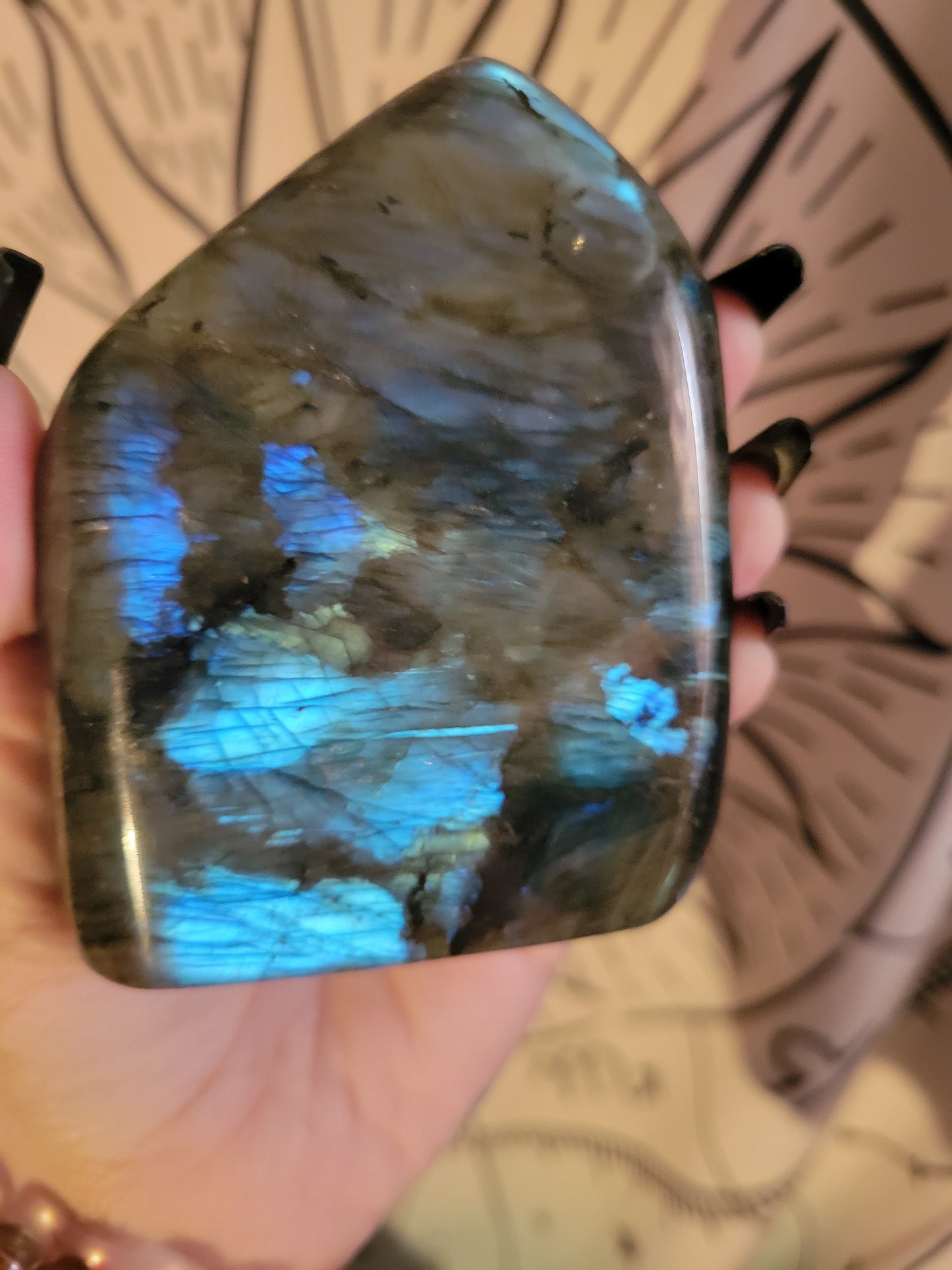 Blue Labradorite freeform