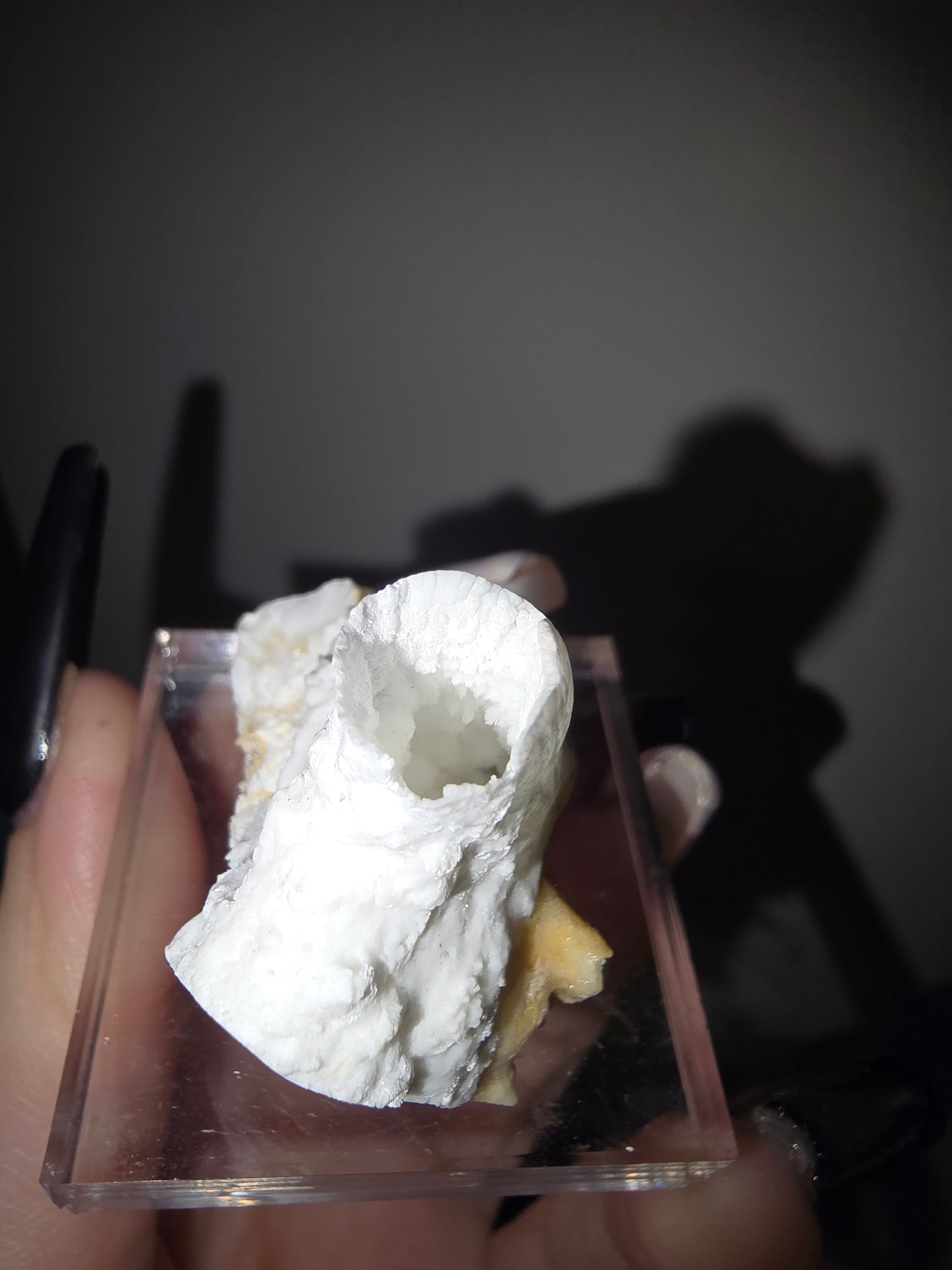 Fairy Cup Aragonite | UV Reactive White Aragonite Specimen