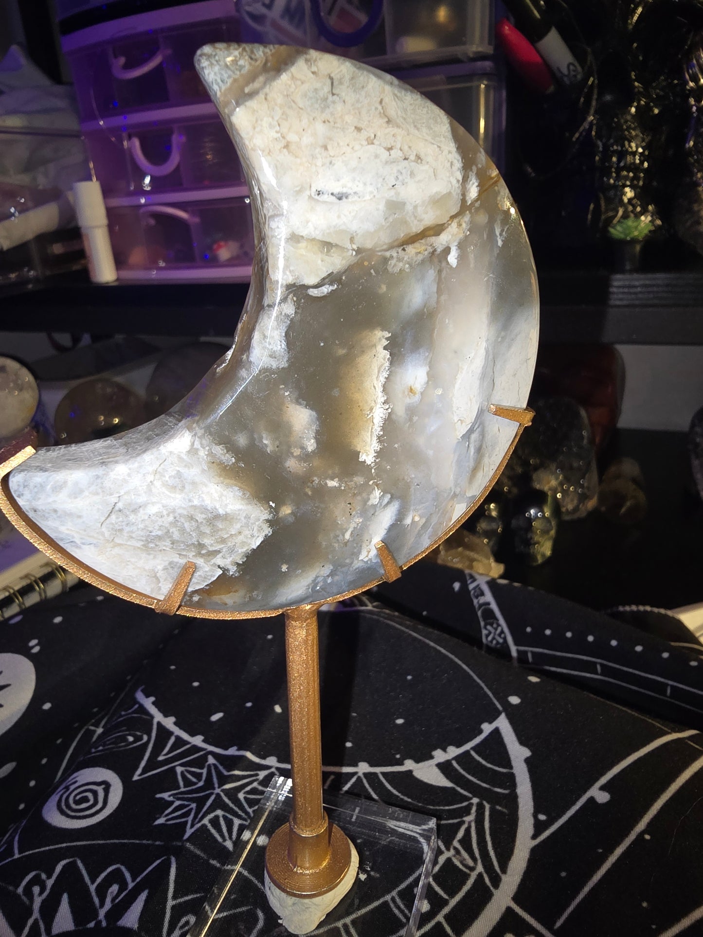 Petrified Wood Moon on Stand