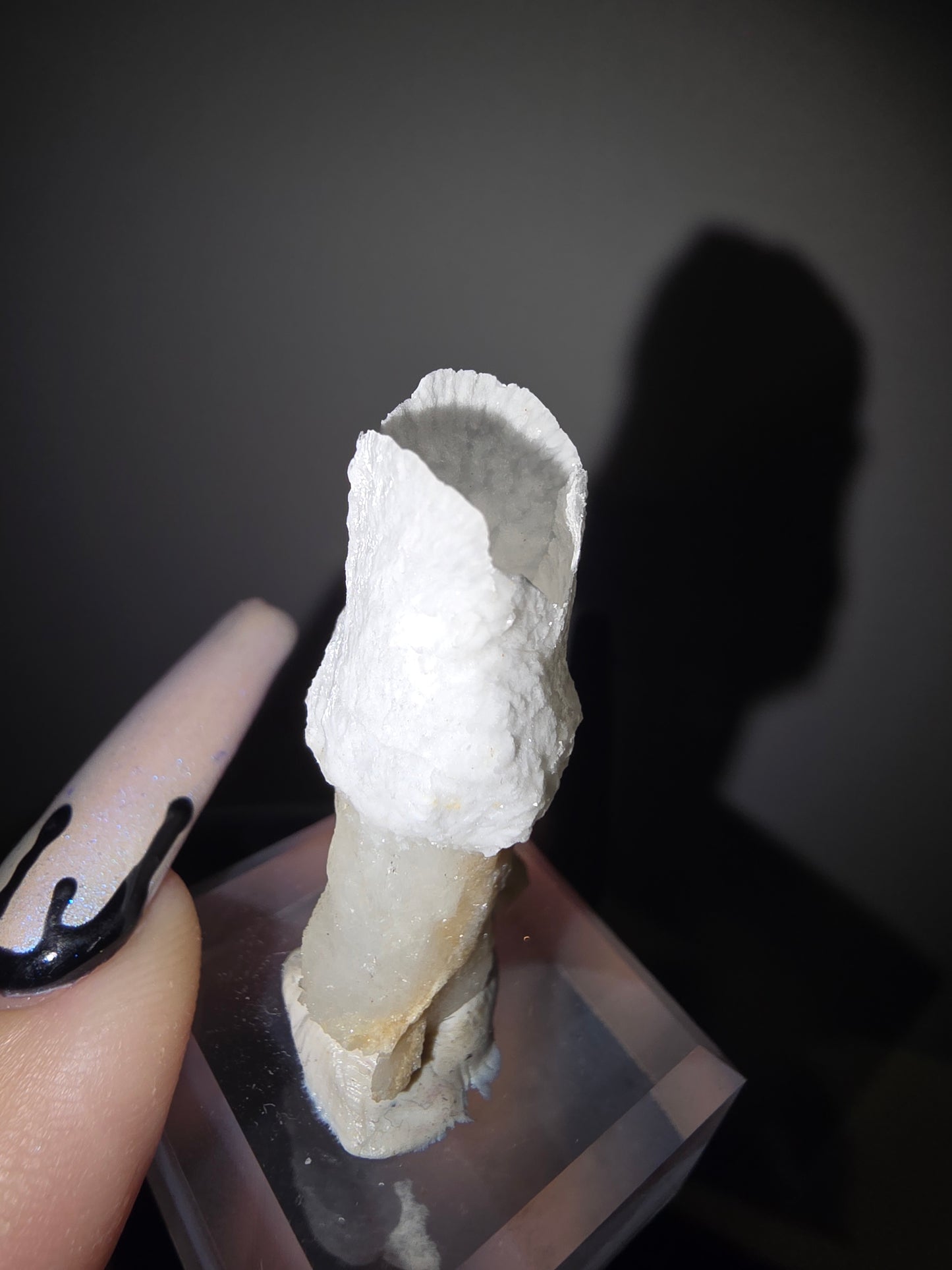Fairy Cup Aragonite | UV Reactive White Aragonite Specimen