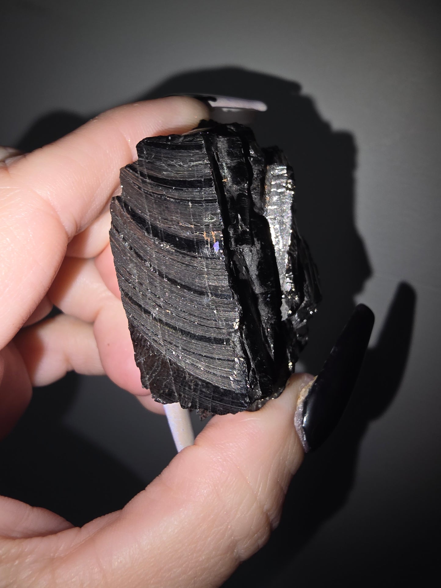 Elite Shungite | Grounding, Protection & Energetic Balance