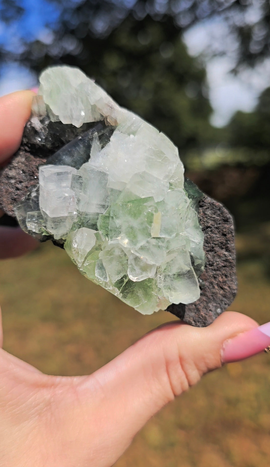 Green Apophyllite Freeform | Growth & Spiritual Connection
