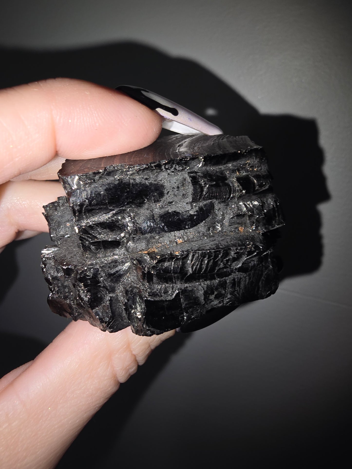 Elite Shungite | Grounding, Protection & Energetic Balance