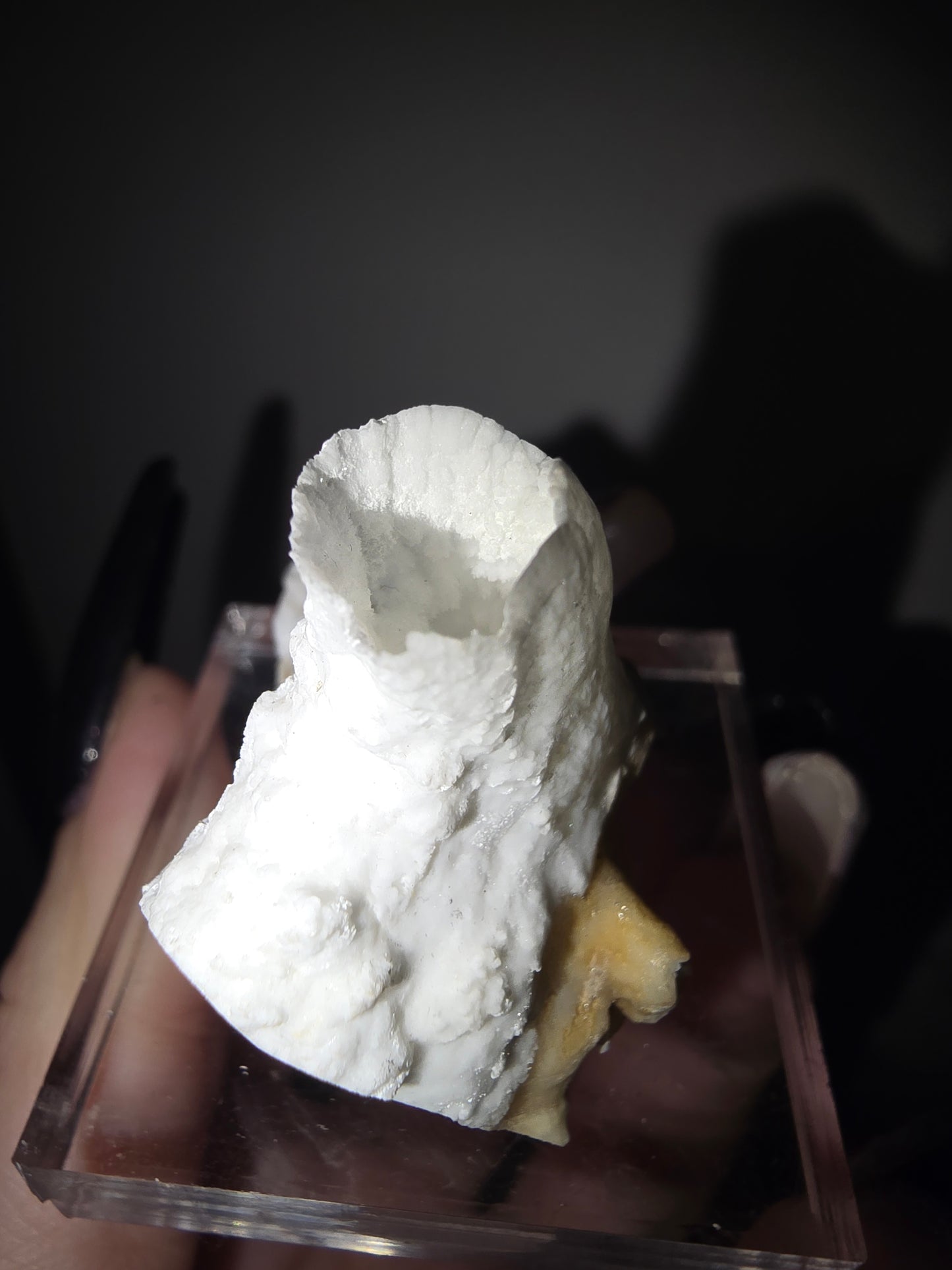 Fairy Cup Aragonite | UV Reactive White Aragonite Specimen