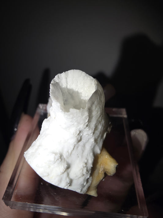 Fairy Cup Aragonite | UV Reactive White Aragonite Specimen